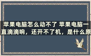 苹果电脑怎么动不了 苹果电脑一直滴滴响，还开不了机，是什么原因